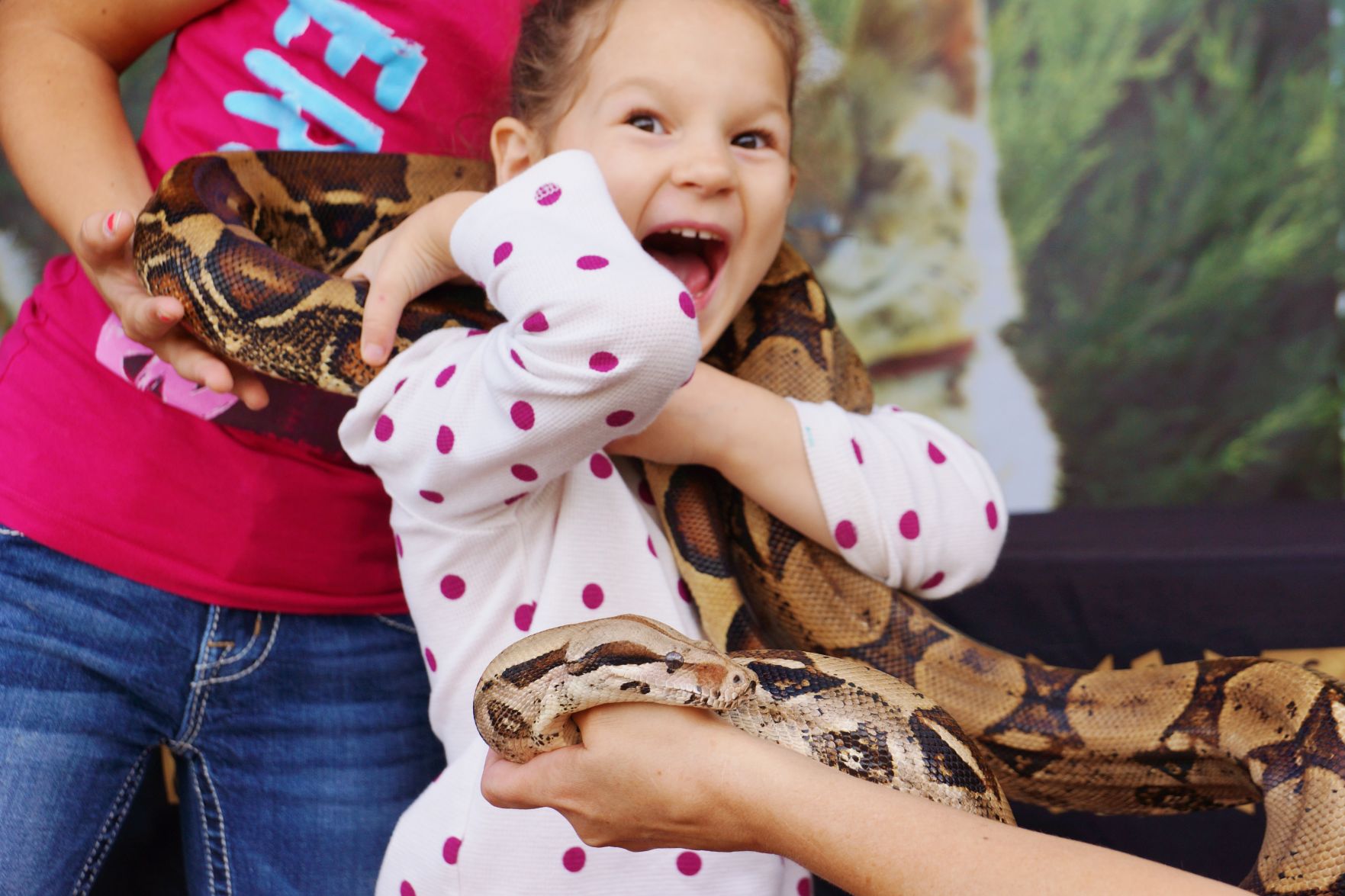 Wildlife Encounters Home and Builders Show